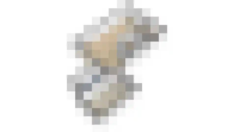 Zuideinde 93 Grootschermer thumbnail 78