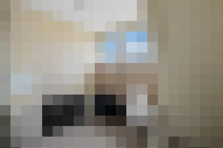 Zuideinde 94 Oostzaan thumbnail 34