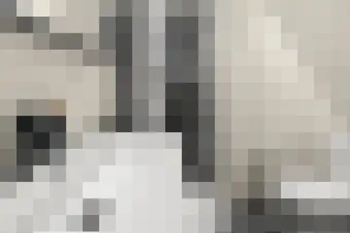 Zuideinde 94 Oostzaan thumbnail 4