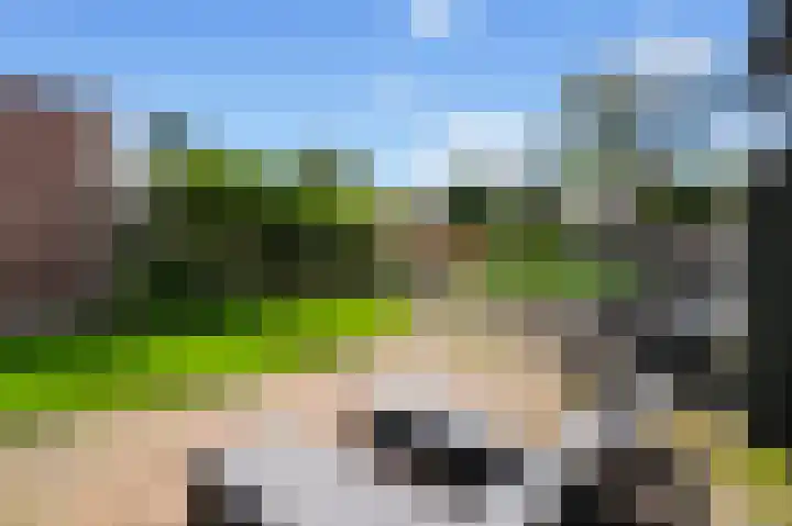 Zuideinde 94 Oostzaan thumbnail 52