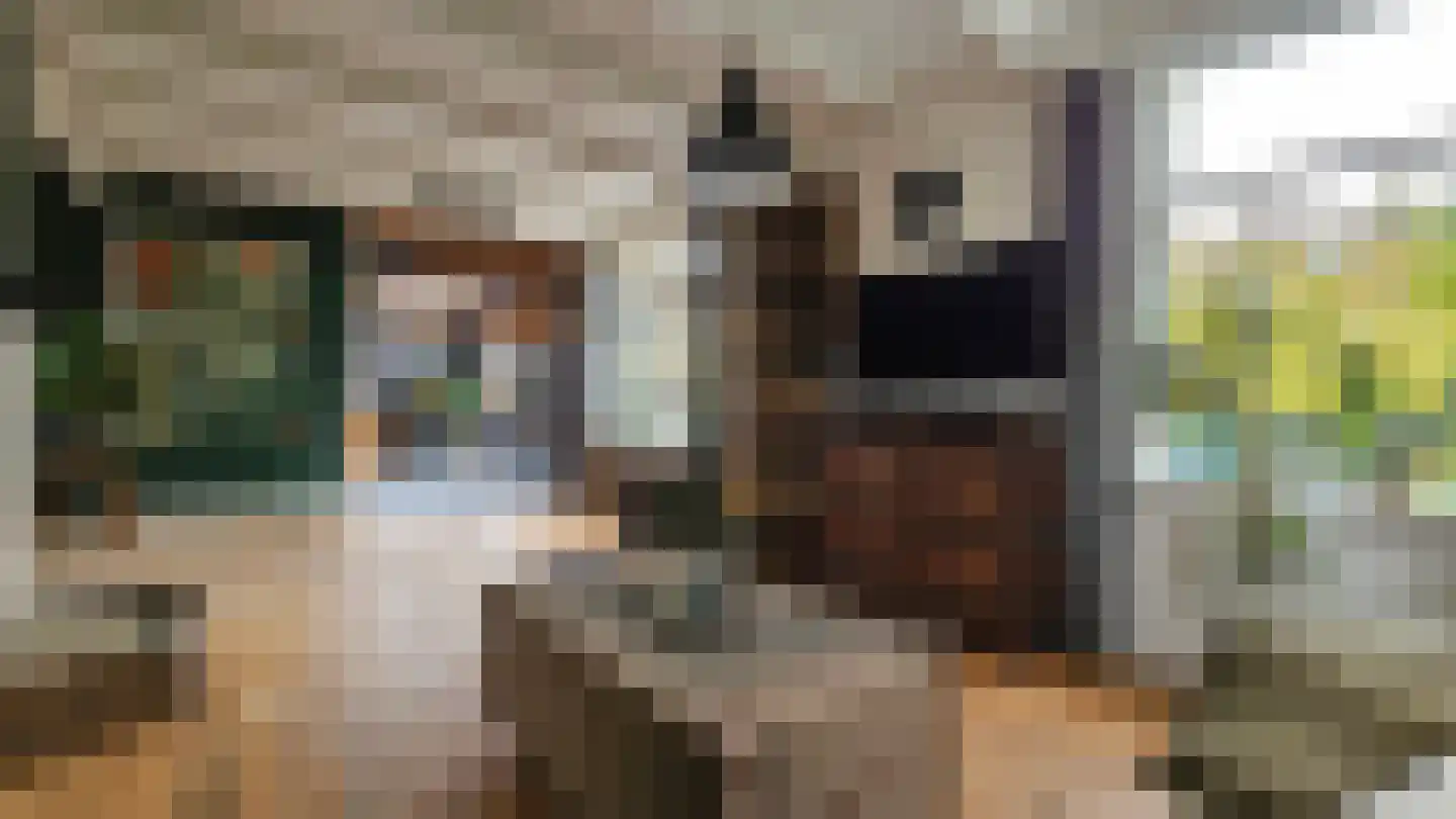 Zuideinde 94 Westzaan thumbnail 16