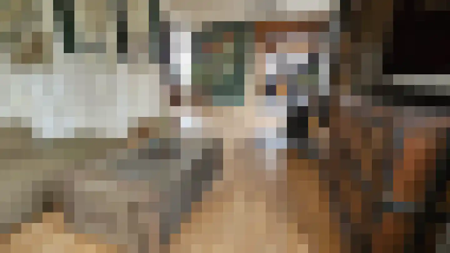 Zuideinde 94 Westzaan thumbnail 17