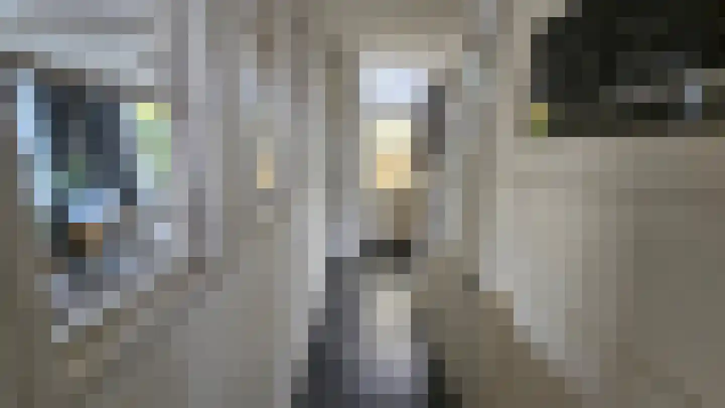 Zuideinde 94 Westzaan thumbnail 18