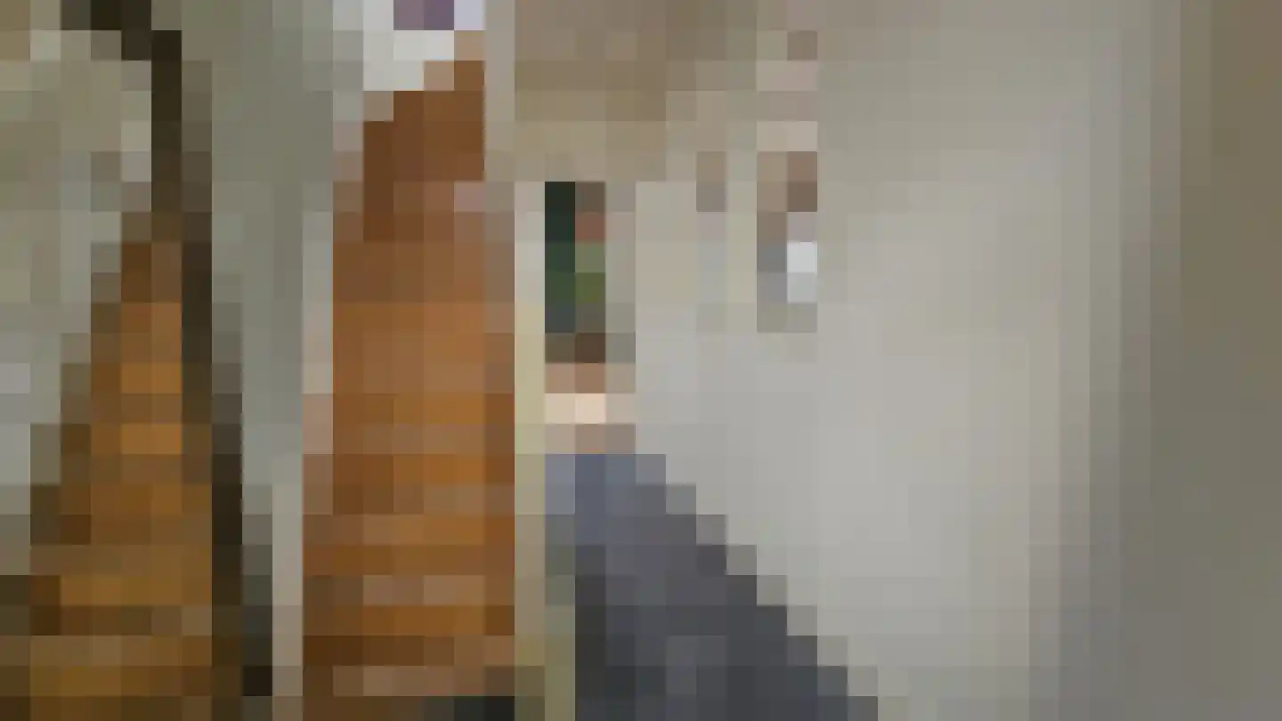 Zuideinde 94 Westzaan thumbnail 19