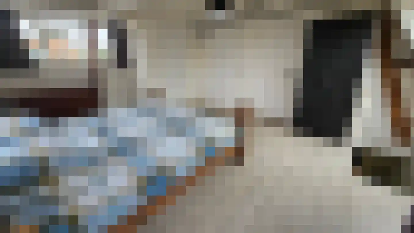 Zuideinde 94 Westzaan thumbnail 24