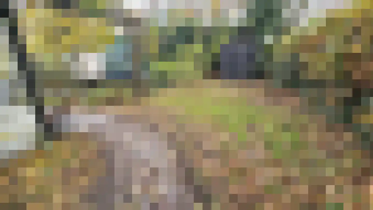 Zuideinde 94 Westzaan thumbnail 38