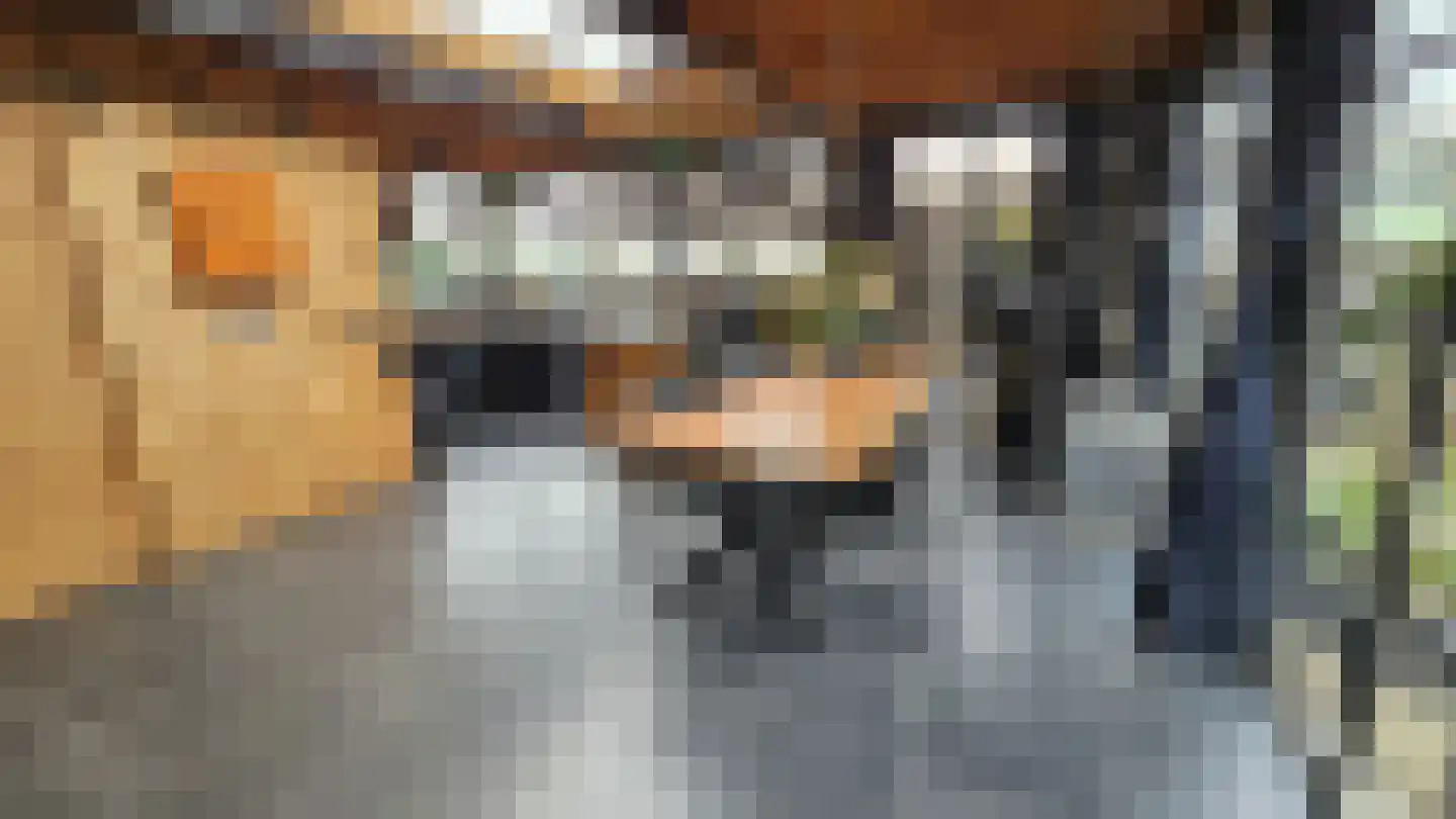 Zuideinde 94 Westzaan thumbnail 4