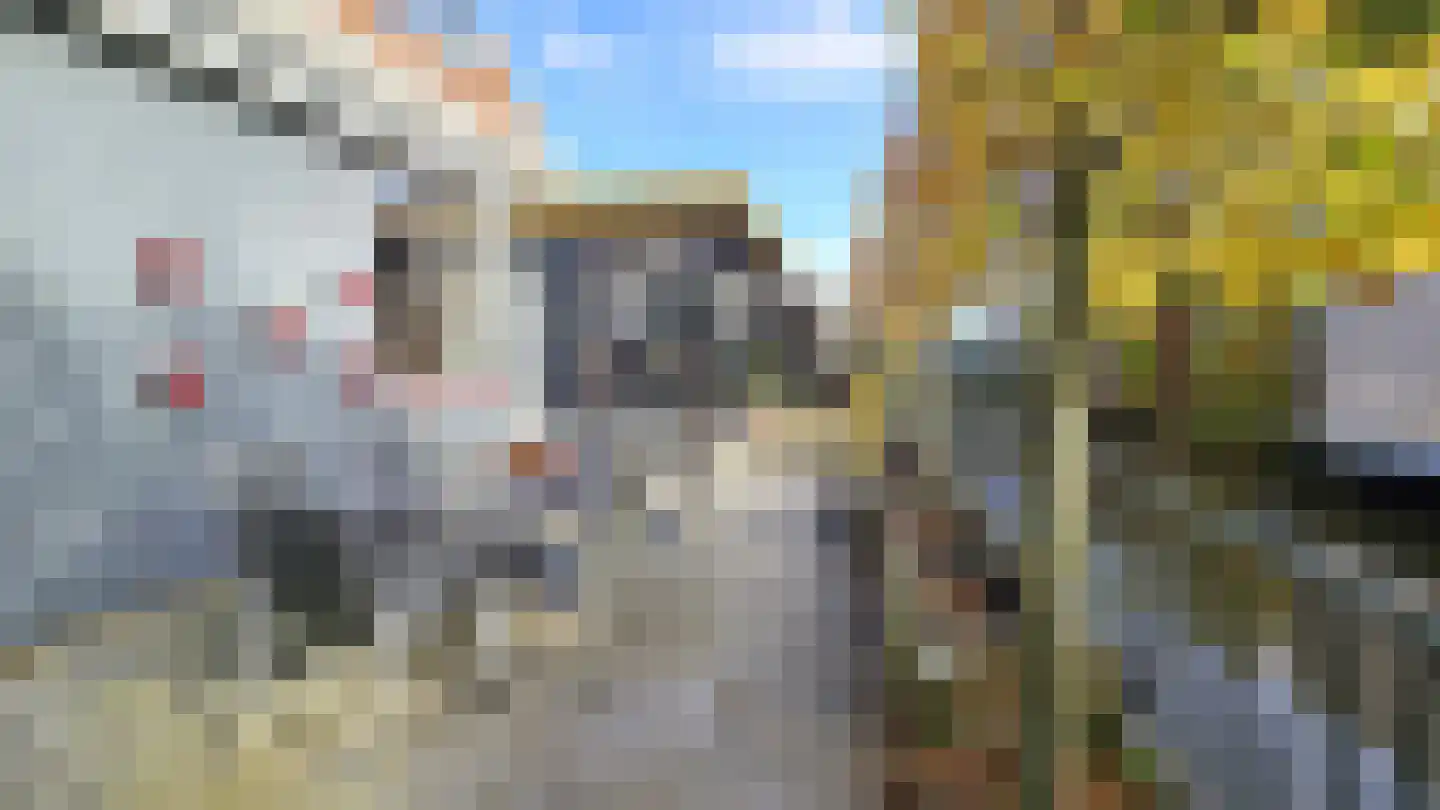 Zuideinde 94 Westzaan thumbnail 40