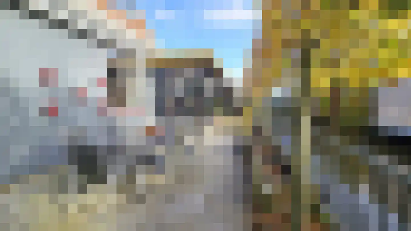 Zuideinde 94 Westzaan thumbnail 40