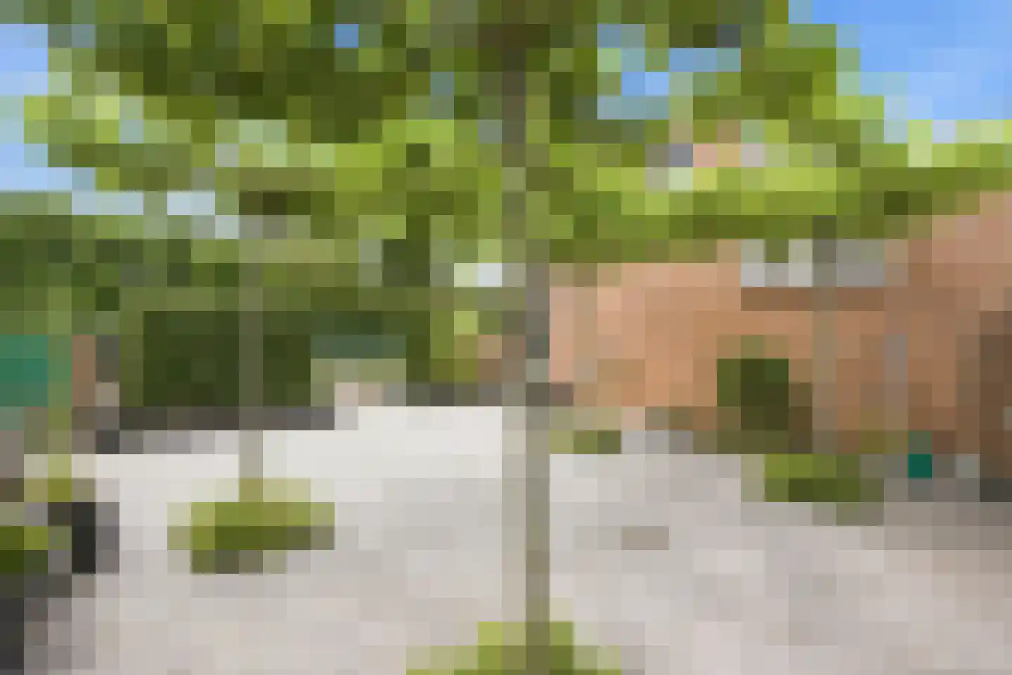 Zuideinde 97 Landsmeer thumbnail 49