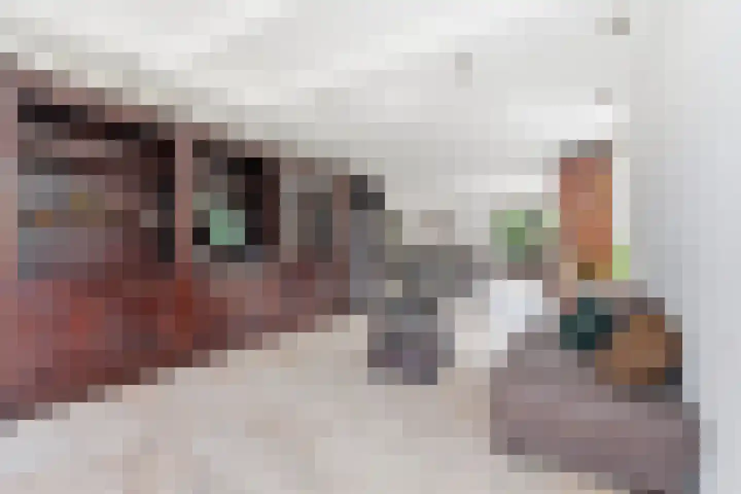 Zuideinde 97 Landsmeer thumbnail 6