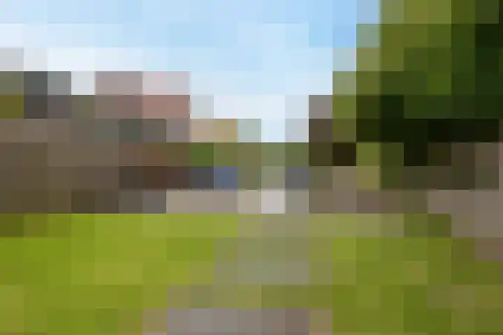 Zuideinde 97 Westzaan thumbnail 19