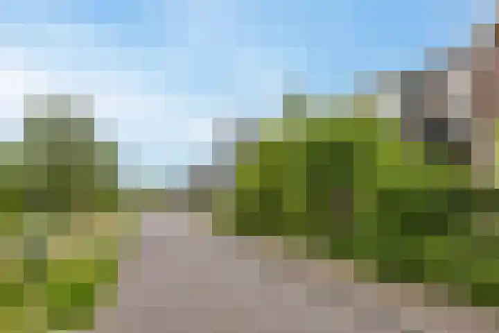 Zuideinde 97 Westzaan thumbnail 30