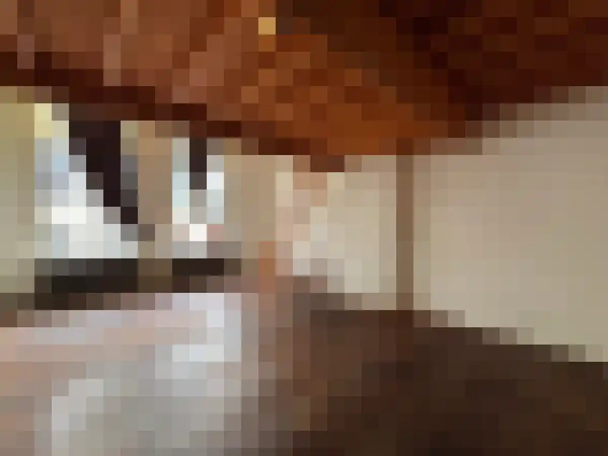 Zuideinde Meppel thumbnail 4