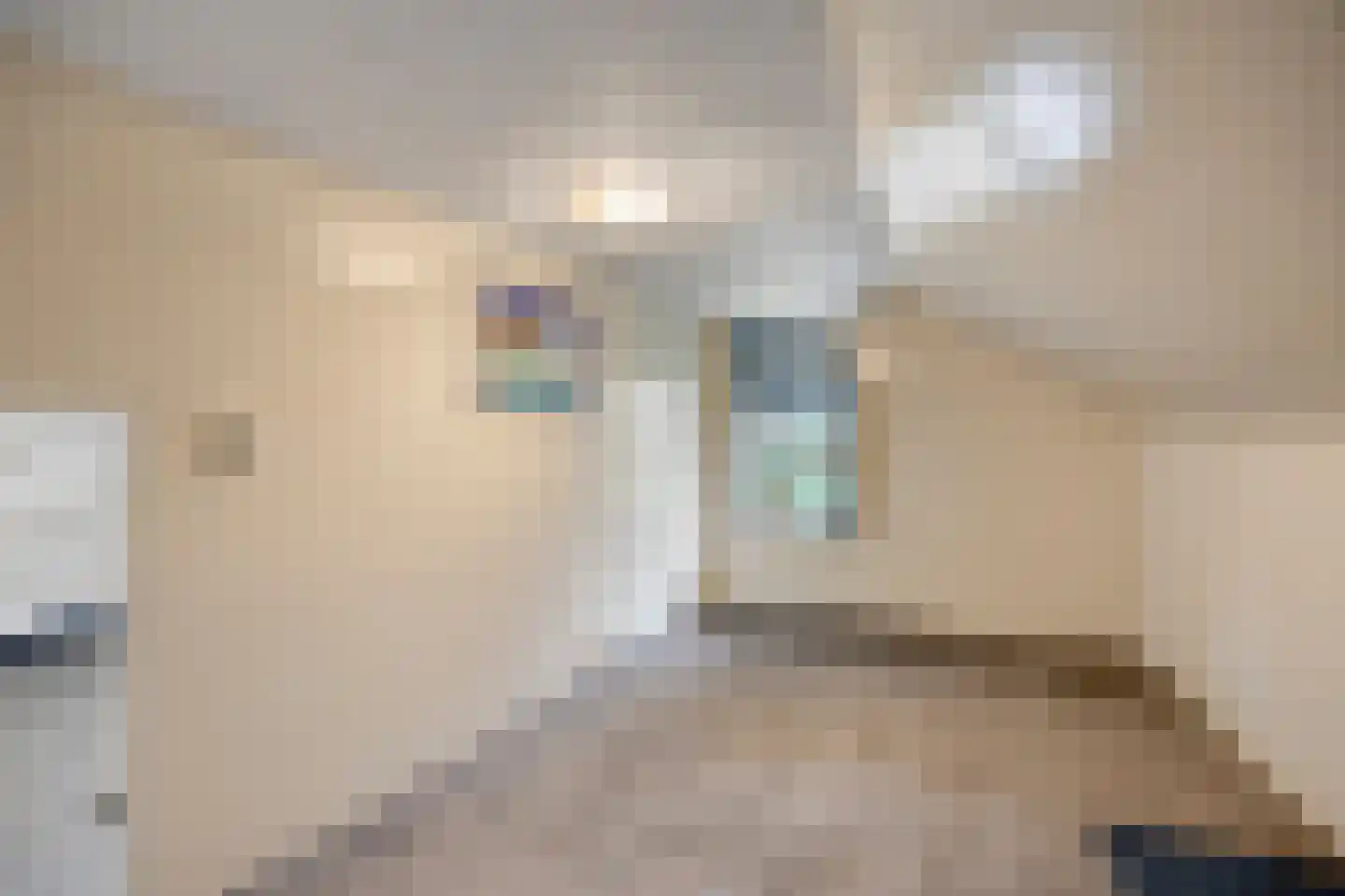 Zuideinde Oost 10 Kamperveen thumbnail 12