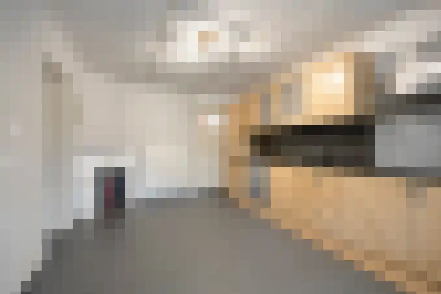 Zuideinde Oost 10 Kamperveen thumbnail 16