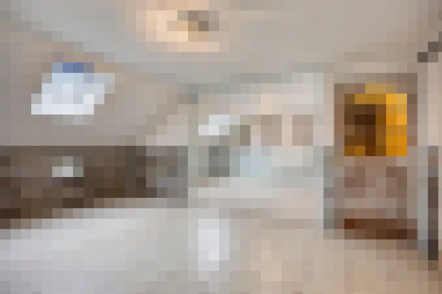 Zuideinde Oost 10 Kamperveen thumbnail 18