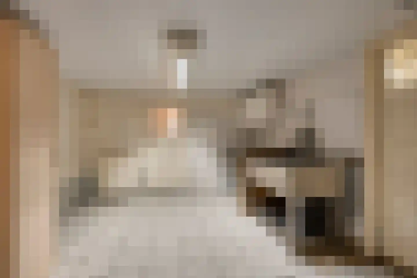 Zuideinde Oost 10 Kamperveen thumbnail 27