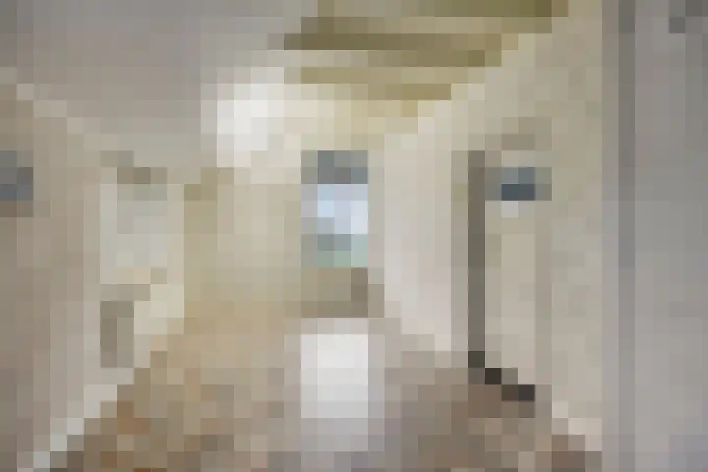 Zuideinde Oost 10 Kamperveen thumbnail 40