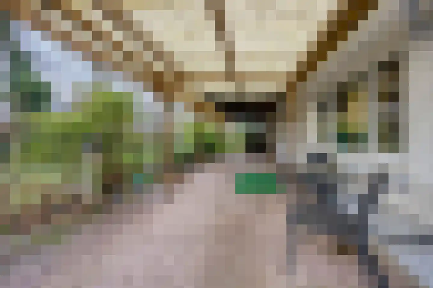 Zuideinde Oost 10 Kamperveen thumbnail 41