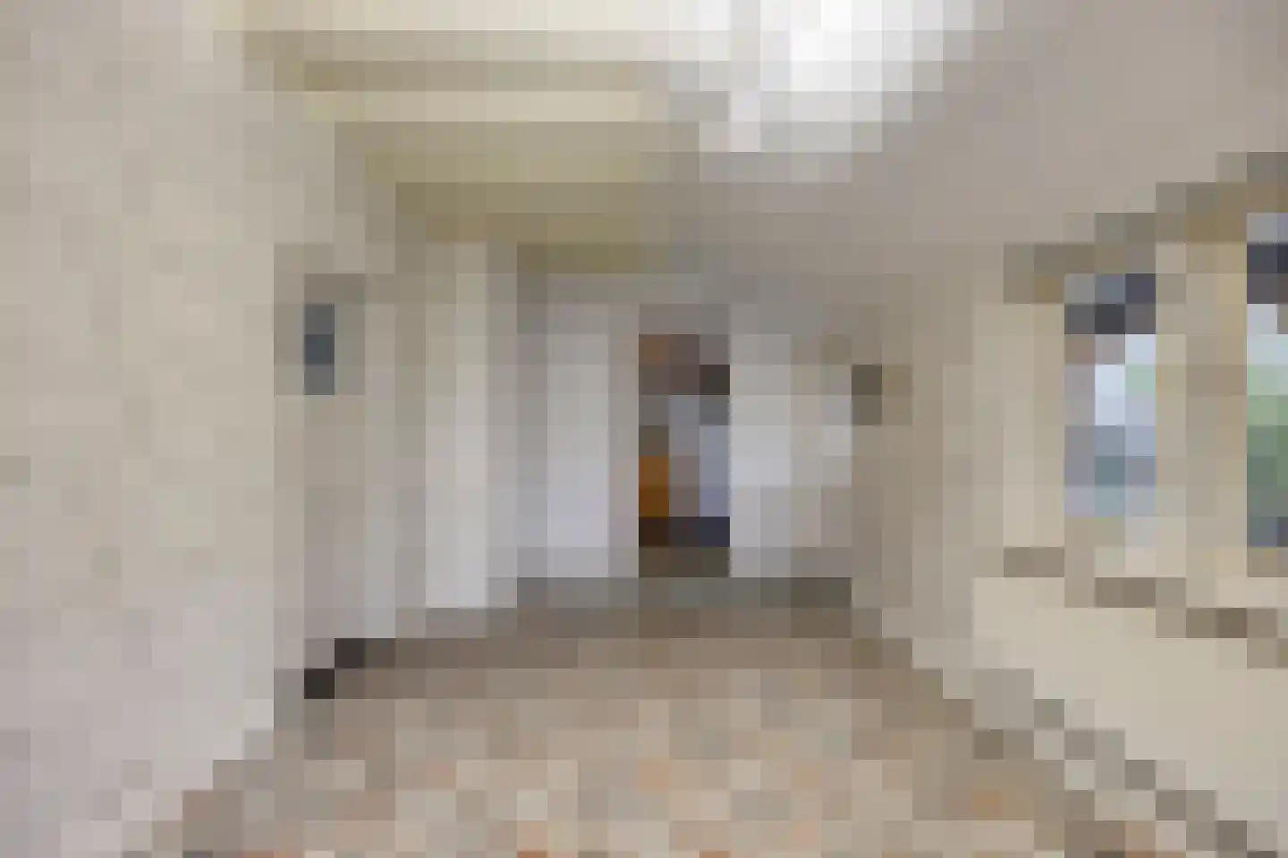 Zuideinde Oost 10 Kamperveen thumbnail 42