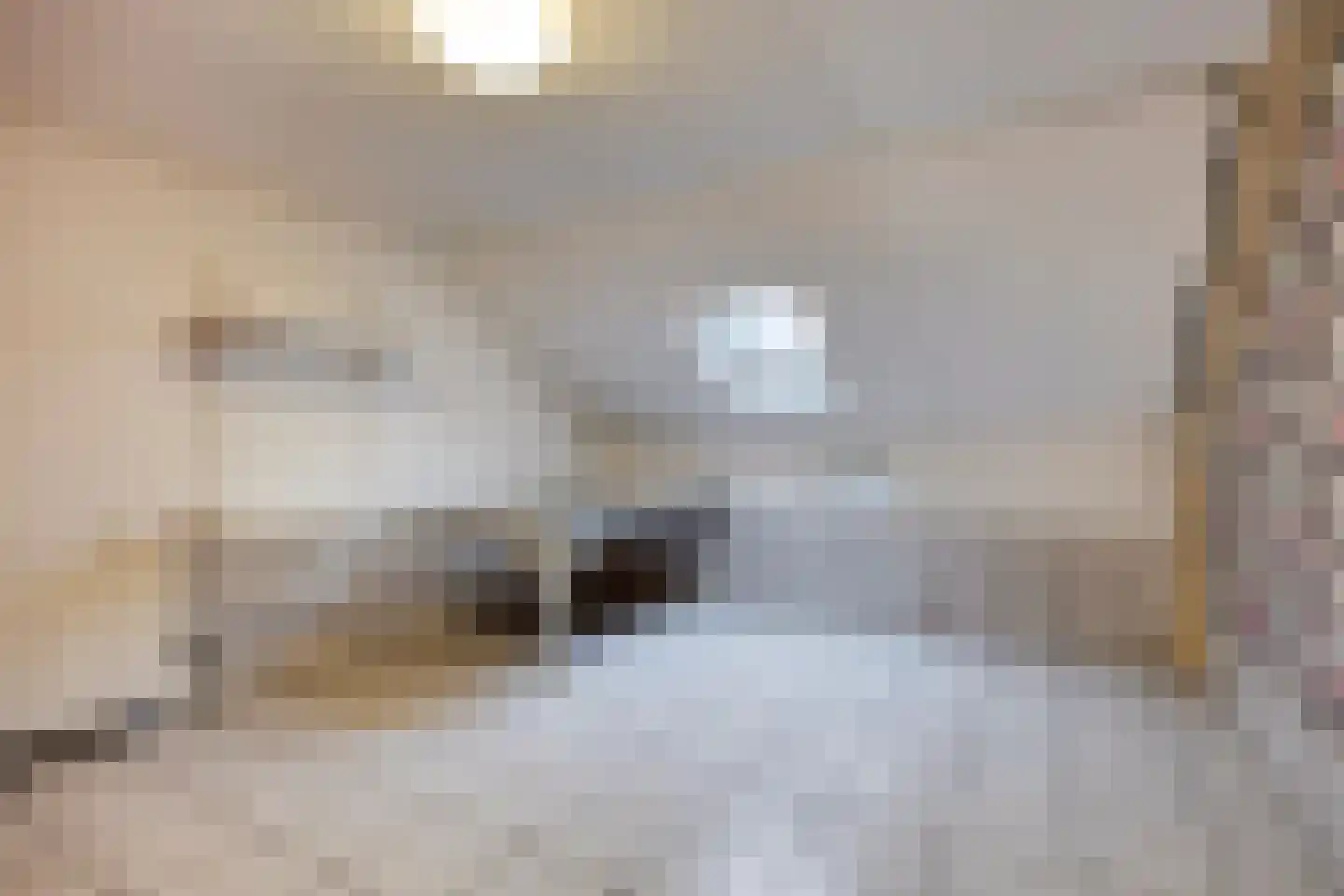 Zuideinde Oost 10 Kamperveen thumbnail 45