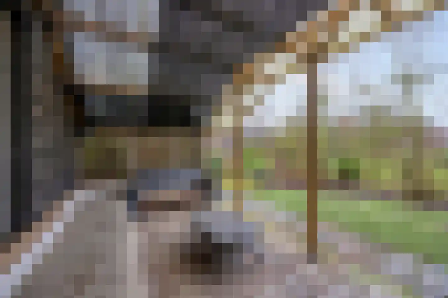 Zuideinde Oost 10 Kamperveen thumbnail 46