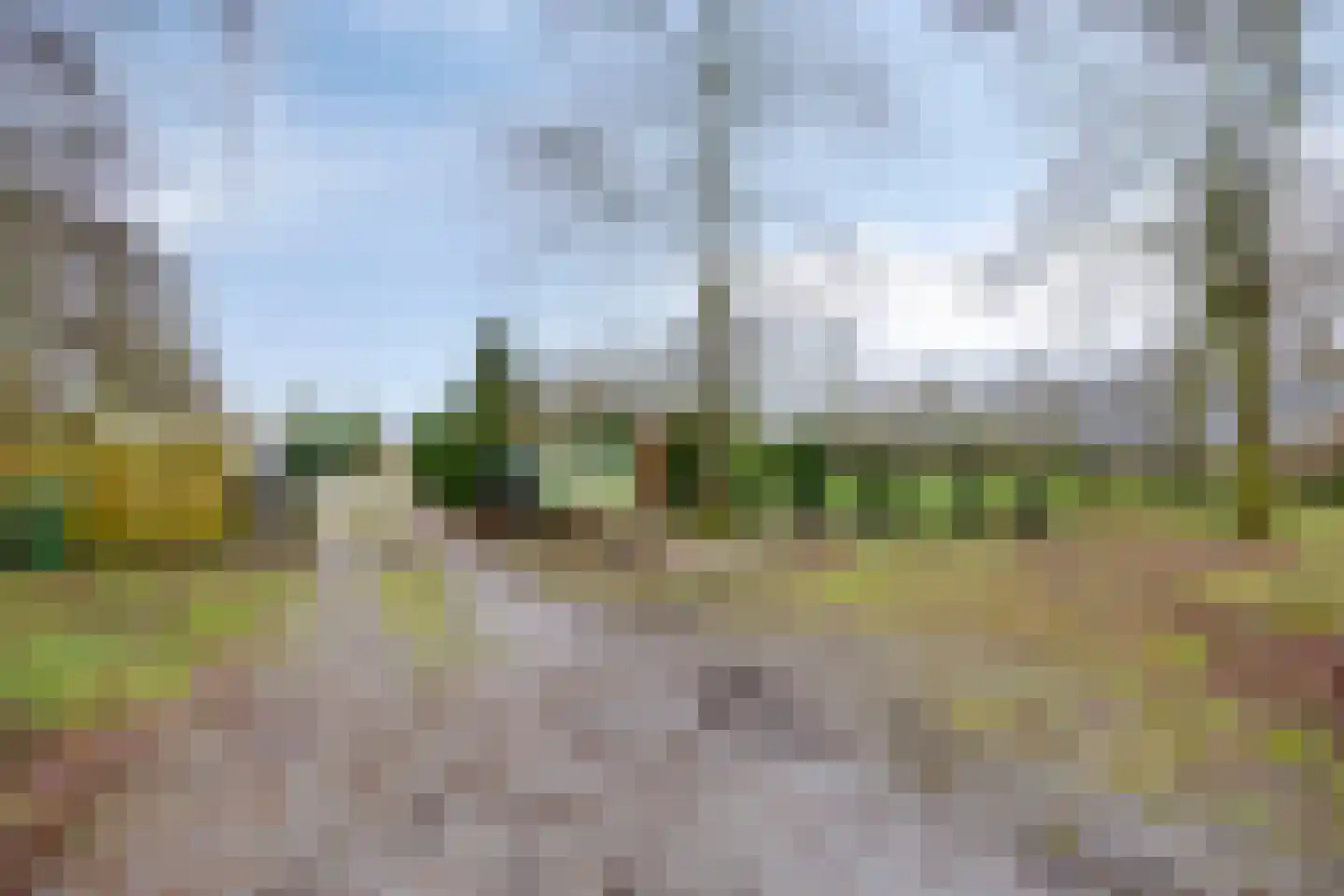 Zuideinde Oost 10 Kamperveen thumbnail 48