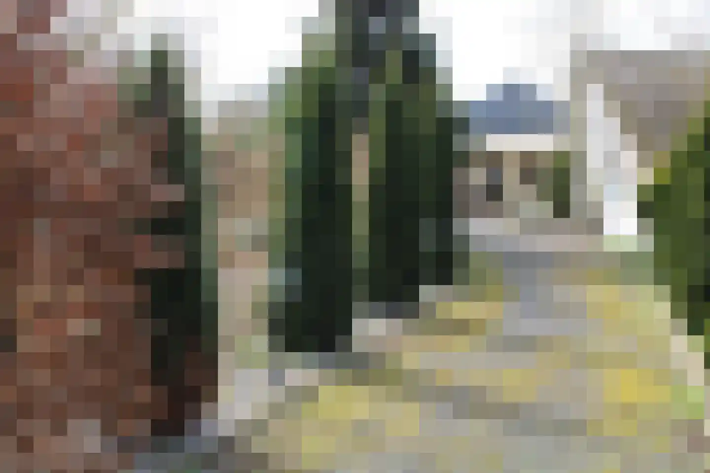 Zuideinde Oost 10 Kamperveen thumbnail 49