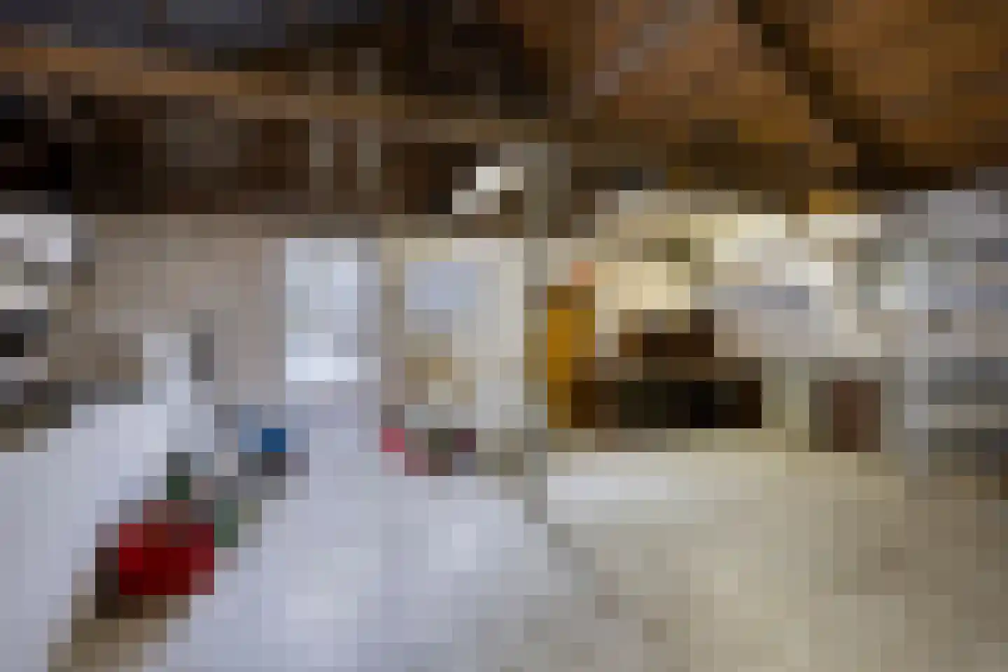 Zuideinde Oost 10 Kamperveen thumbnail 51