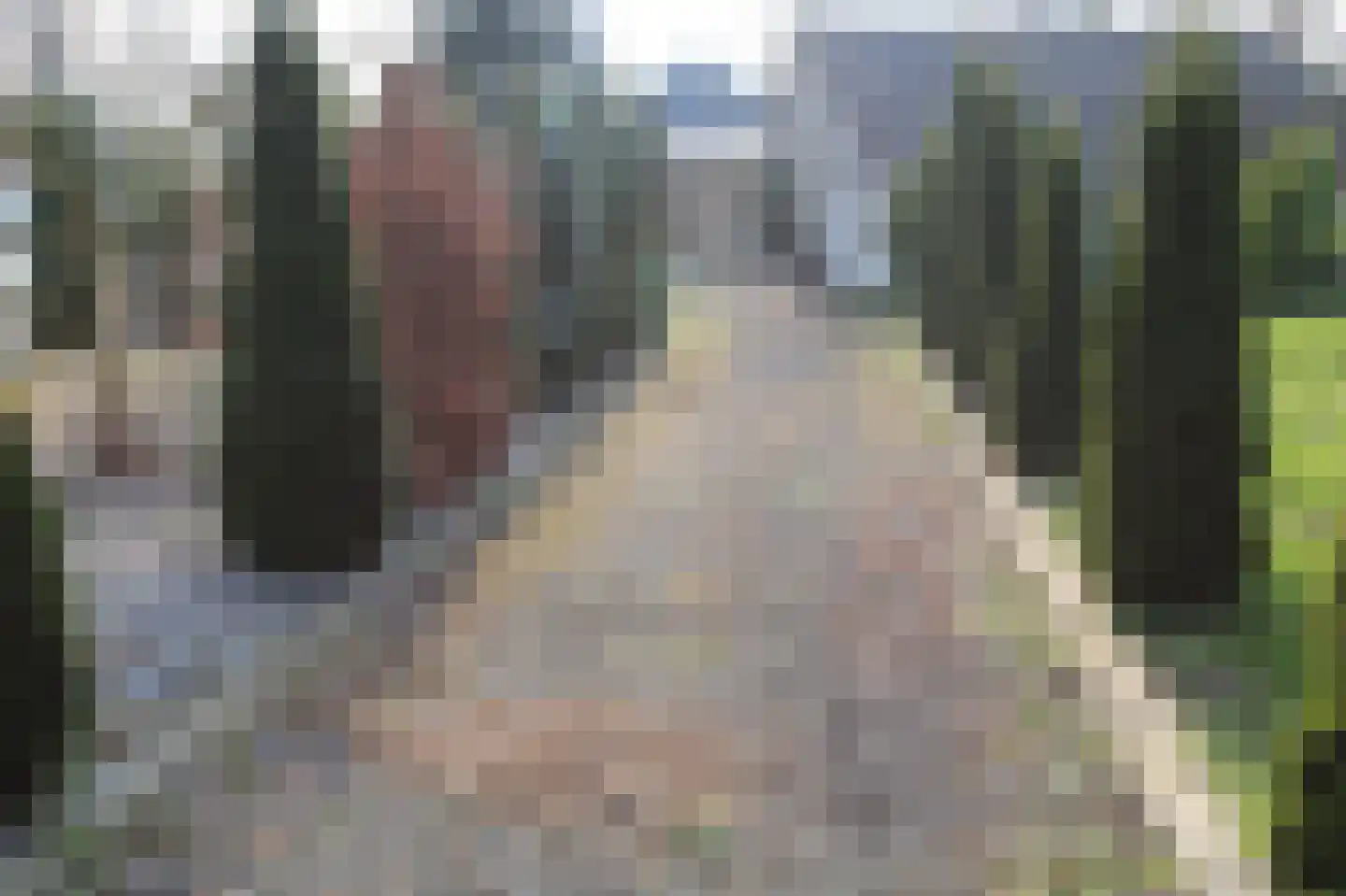 Zuideinde Oost 10 Kamperveen thumbnail 52