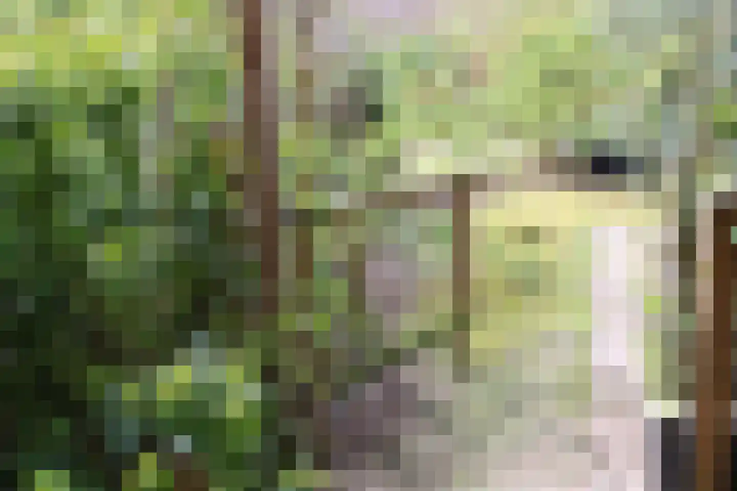 Zuideinde Oost 10 Kamperveen thumbnail 54