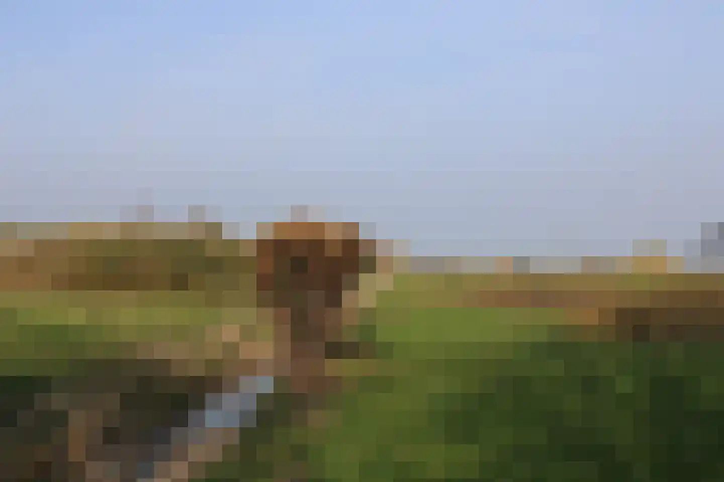 Zuideinde Oost 10 Kamperveen thumbnail 55