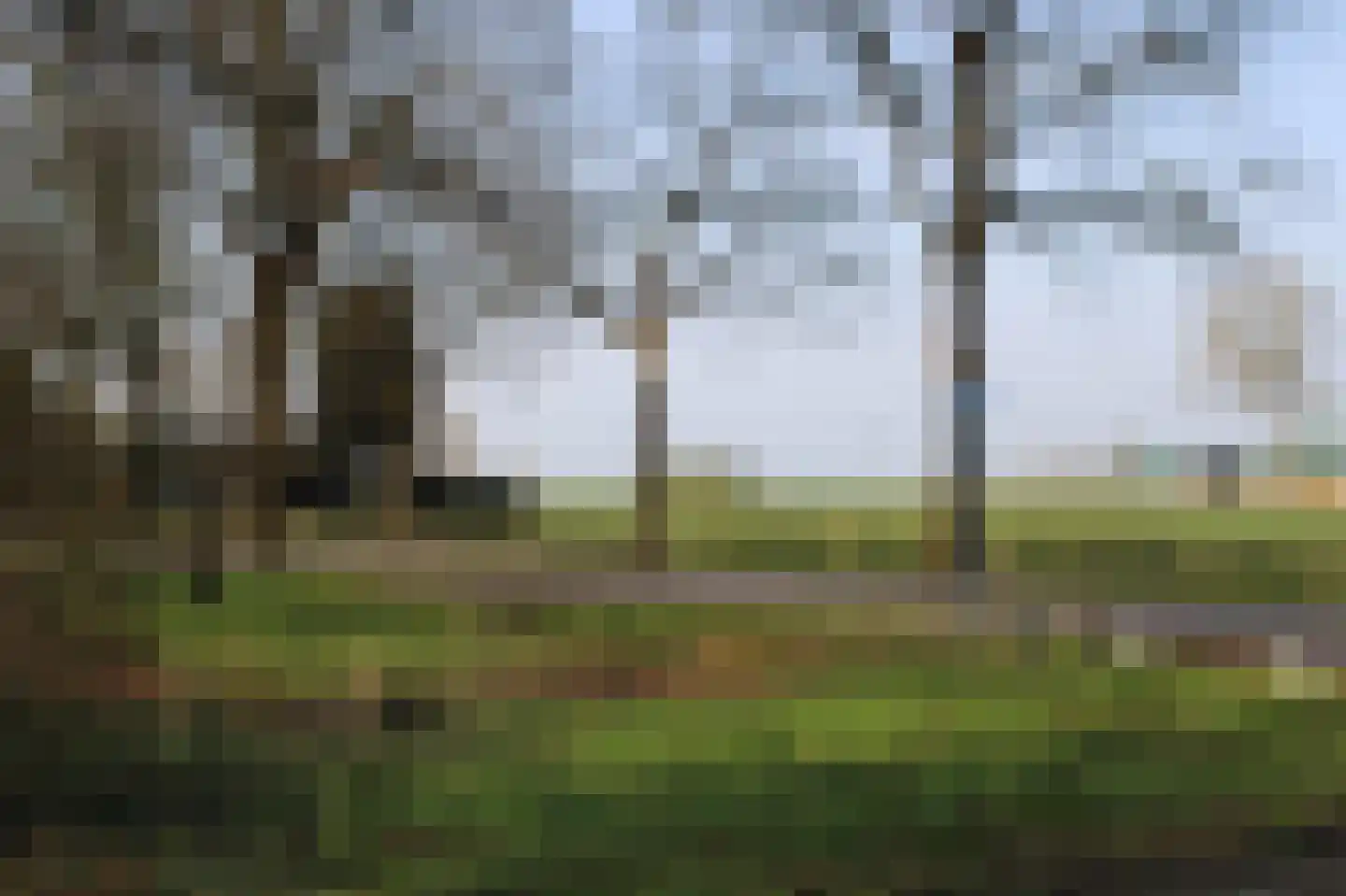 Zuideinde Oost 10 Kamperveen thumbnail 56