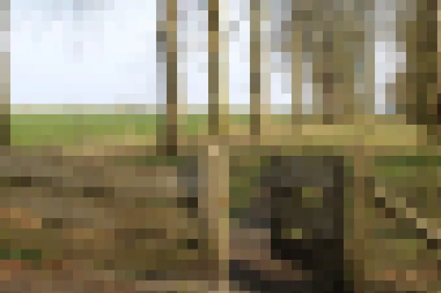 Zuideinde Oost 10 Kamperveen thumbnail 57