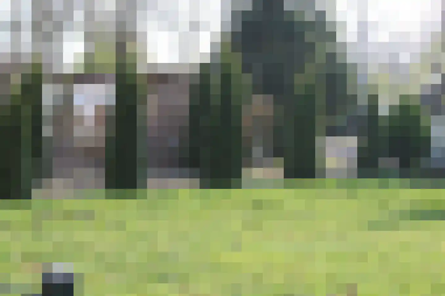 Zuideinde Oost 10 Kamperveen thumbnail 62