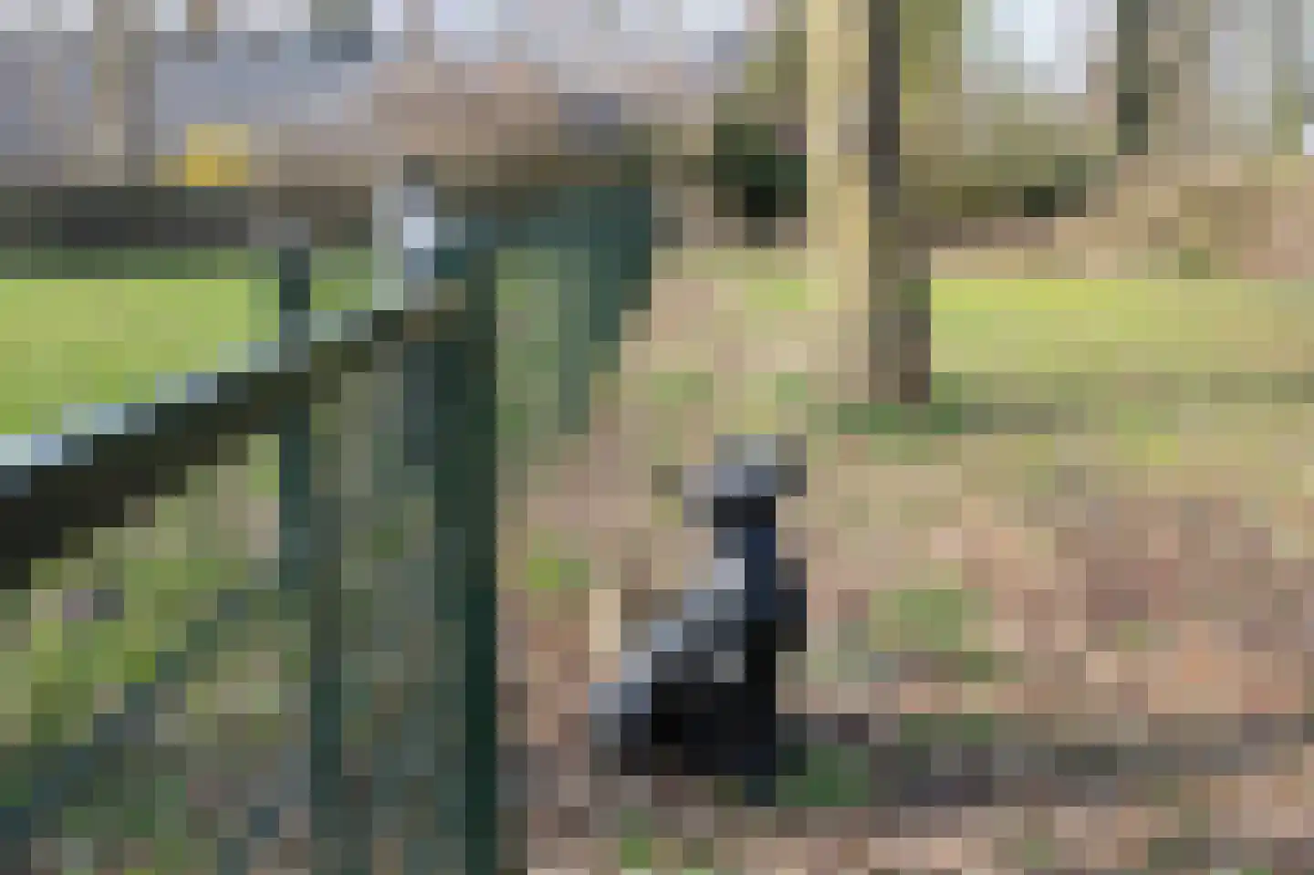 Zuideinde Oost 10 Kamperveen thumbnail 63