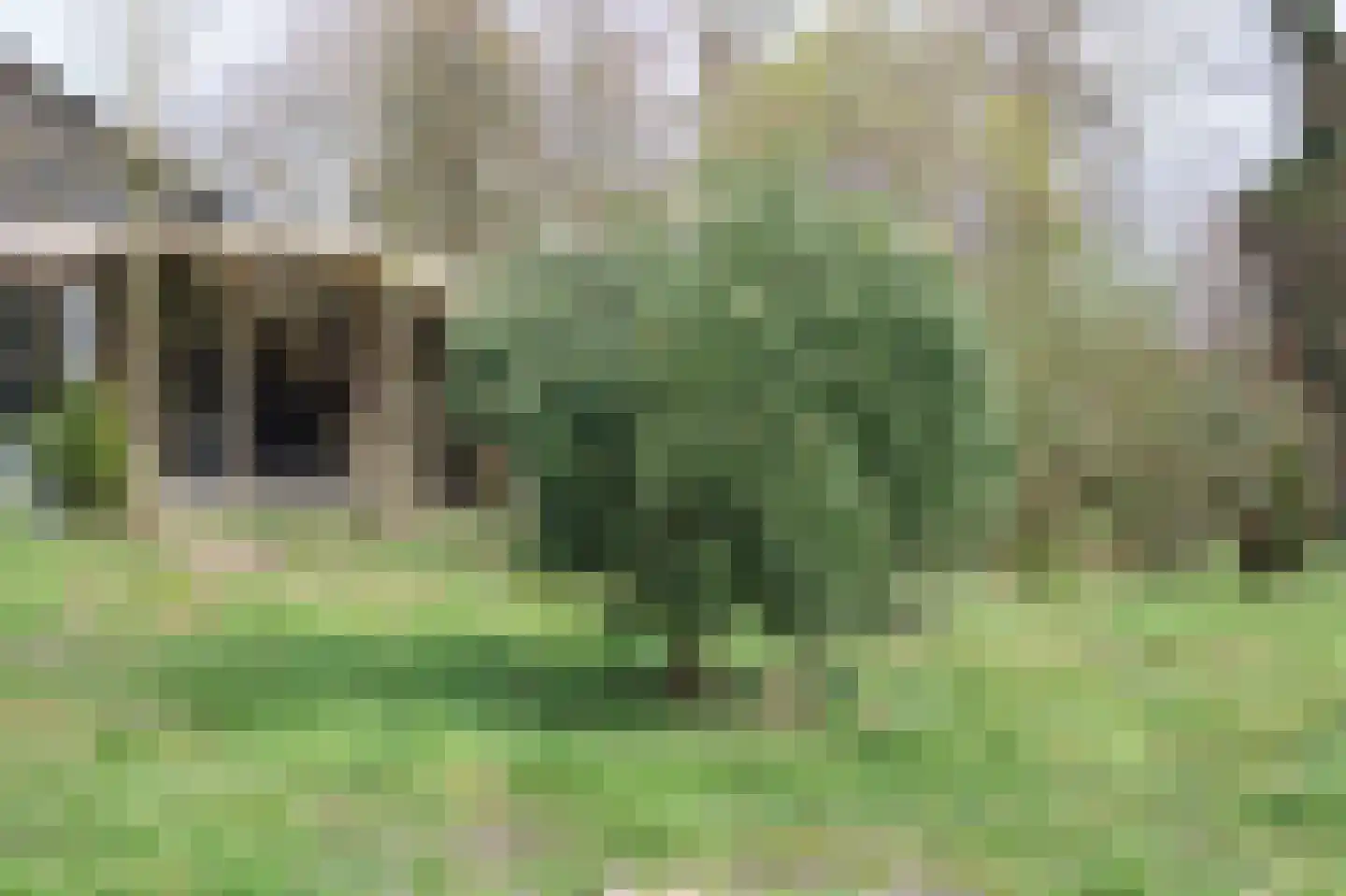 Zuideinde Oost 10 Kamperveen thumbnail 65