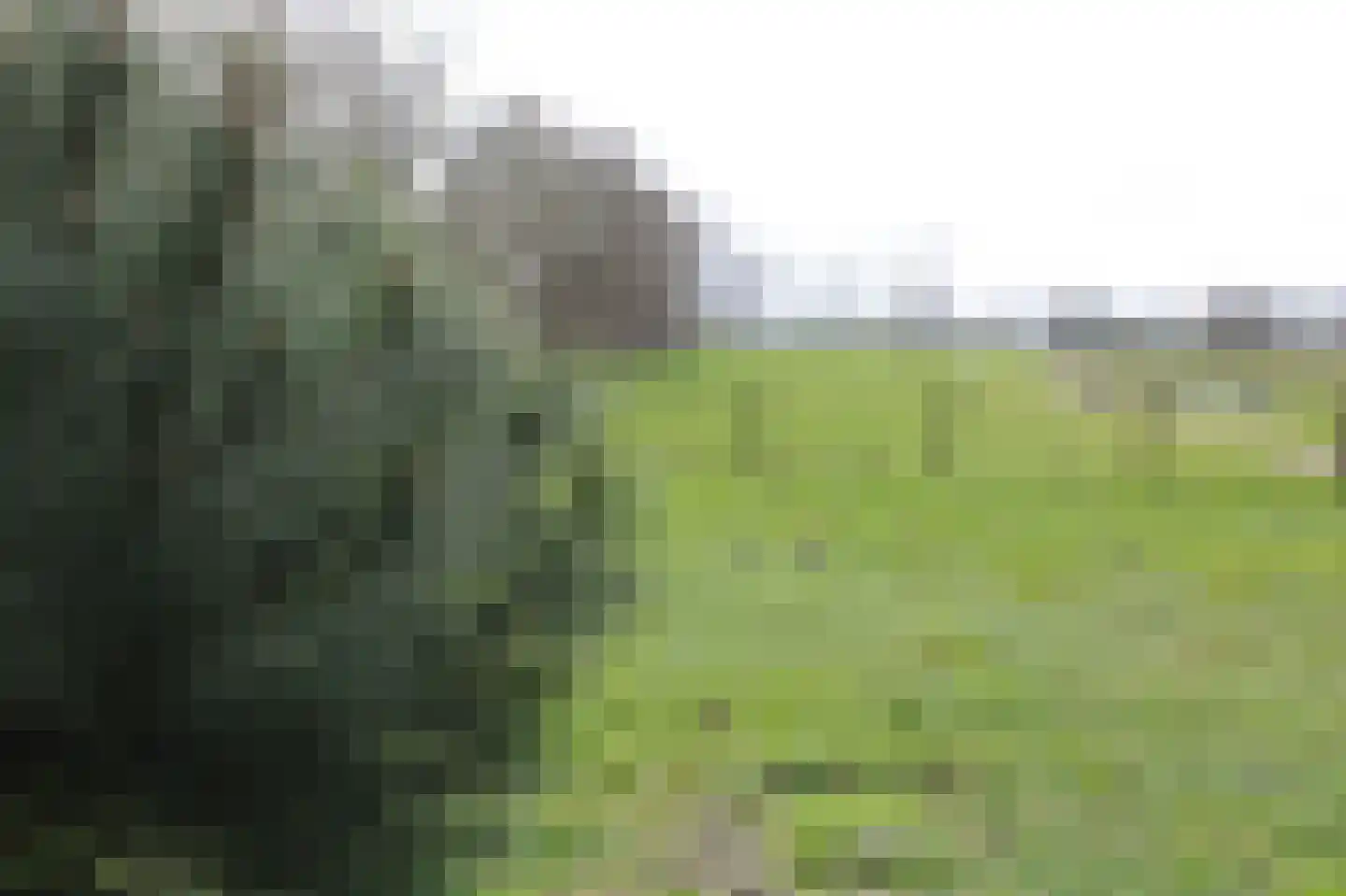 Zuideinde Oost 10 Kamperveen thumbnail 66