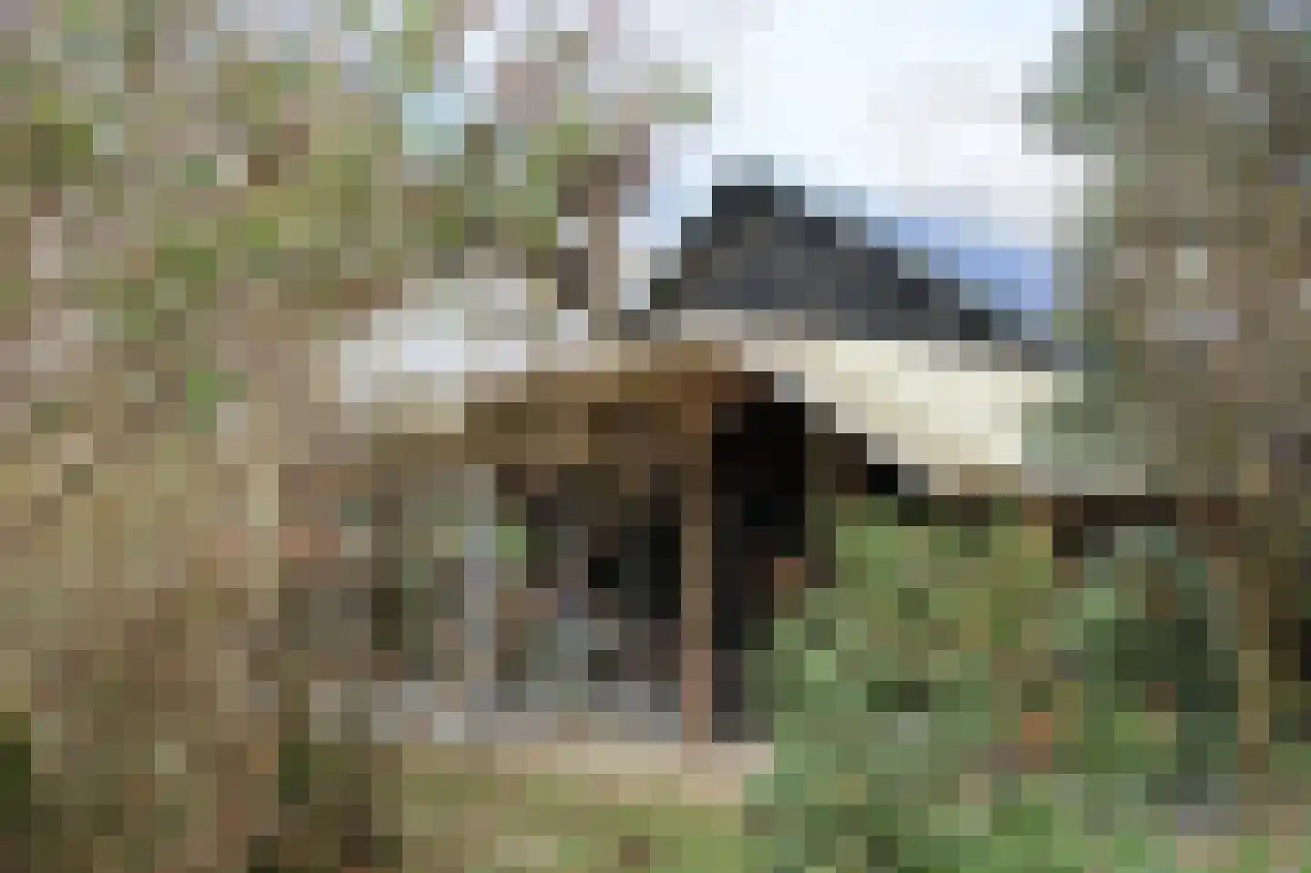 Zuideinde Oost 10 Kamperveen thumbnail 67