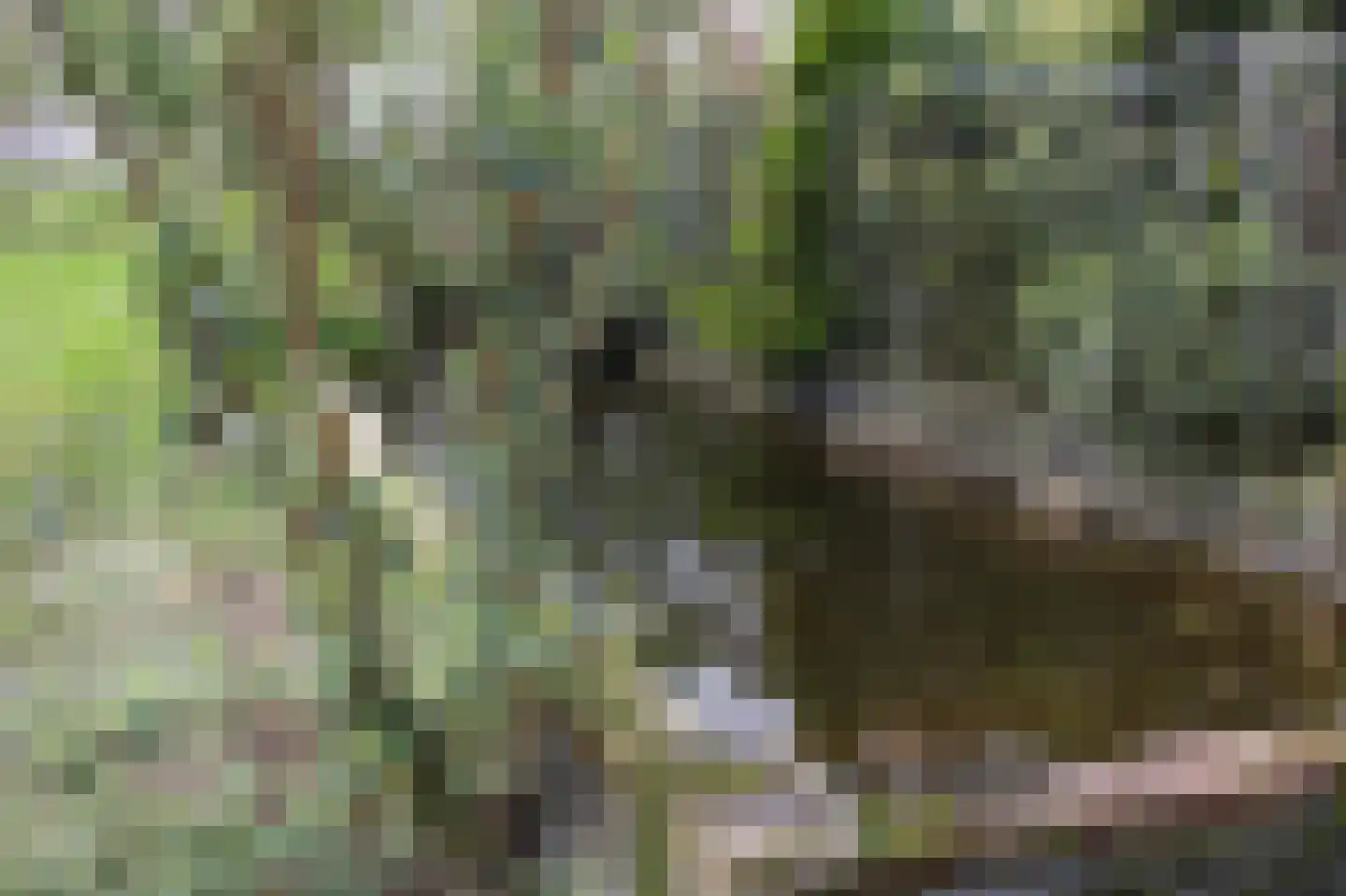 Zuideinde Oost 10 Kamperveen thumbnail 68