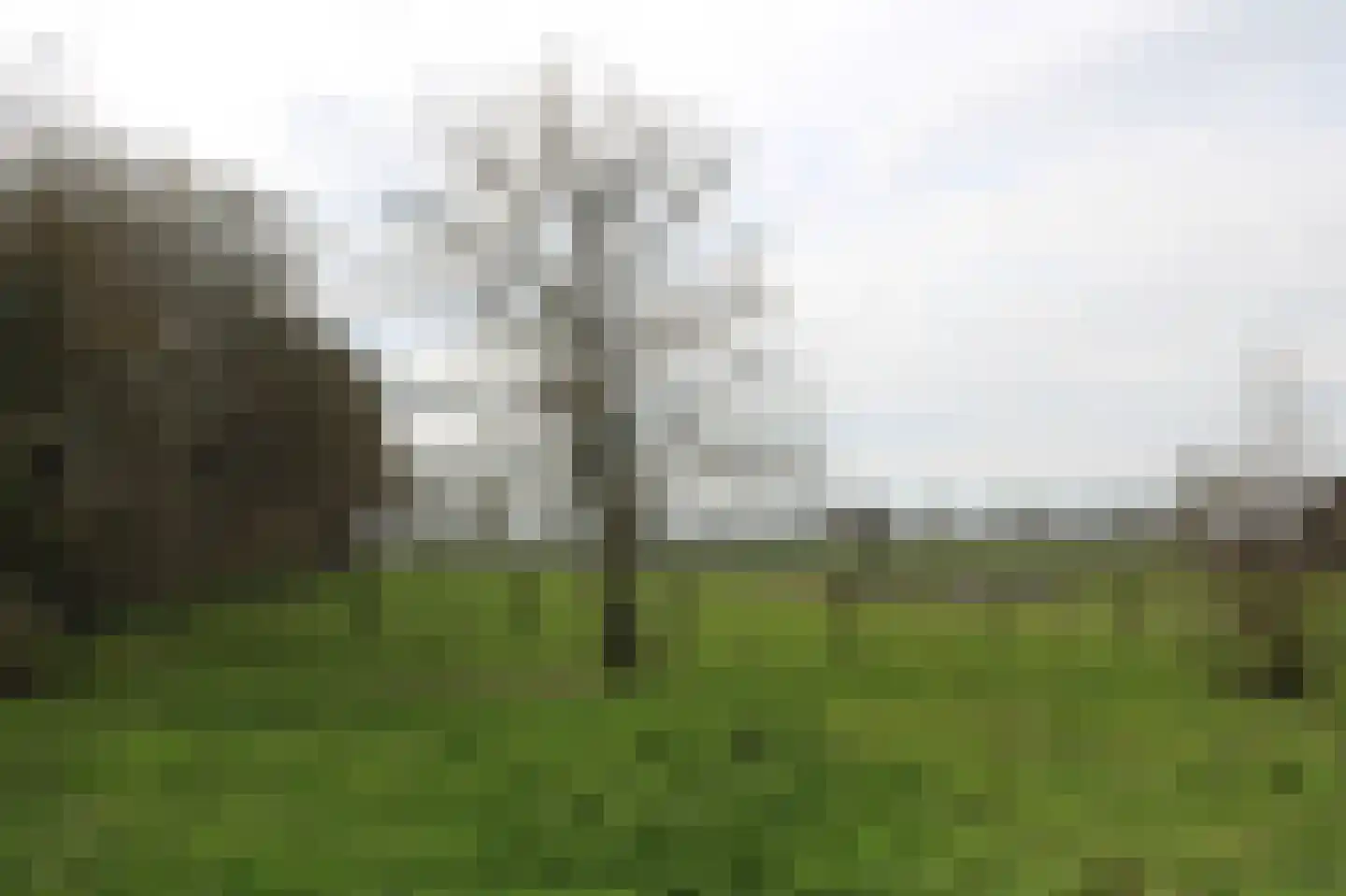 Zuideinde Oost 10 Kamperveen thumbnail 69