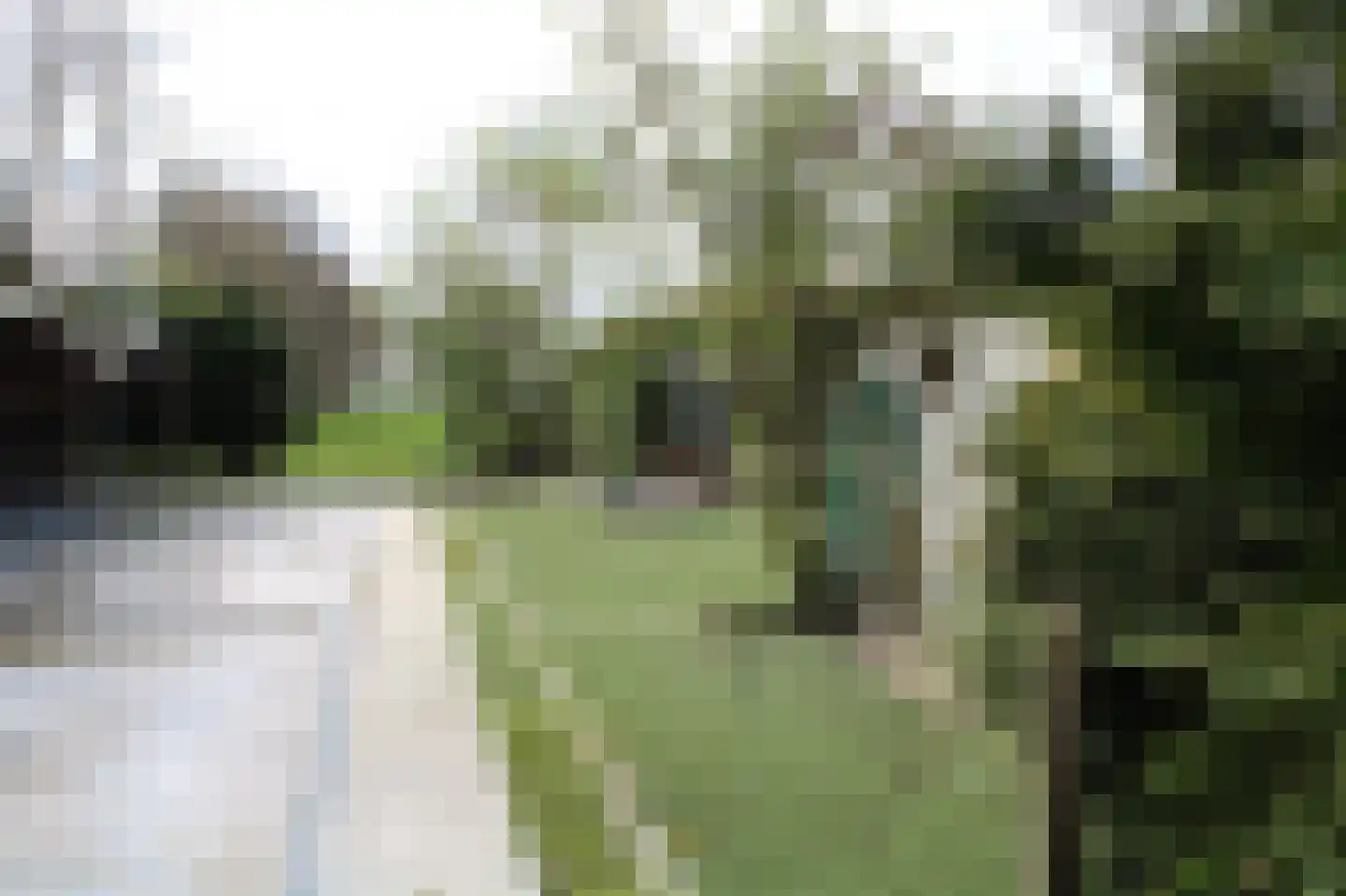 Zuideinde Oost 10 Kamperveen thumbnail 70