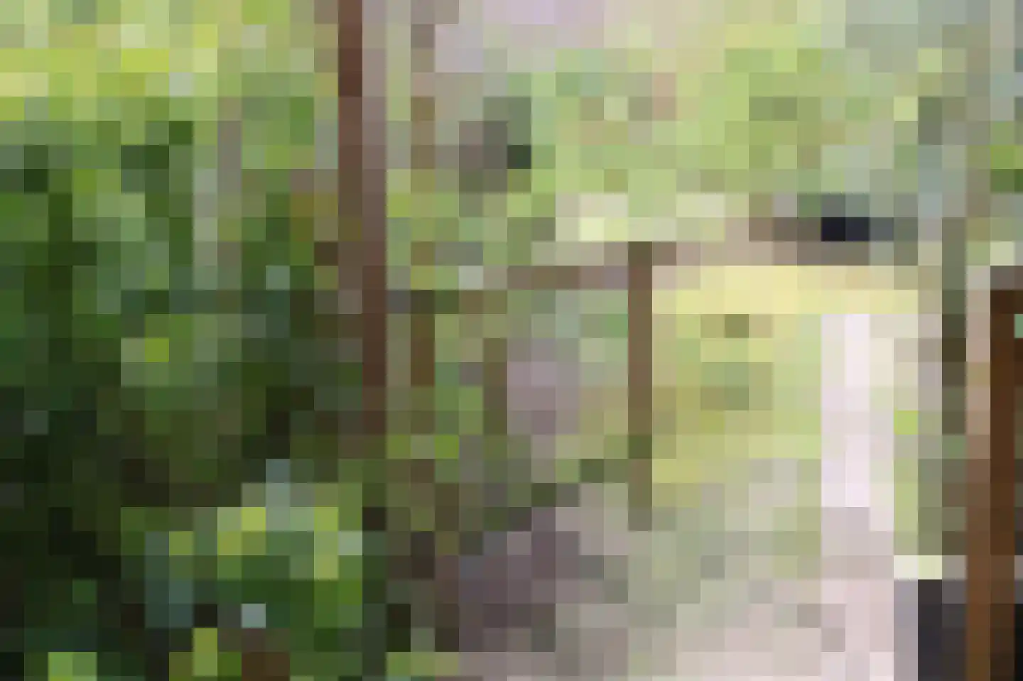 Zuideinde Oost 10 Kamperveen thumbnail 71