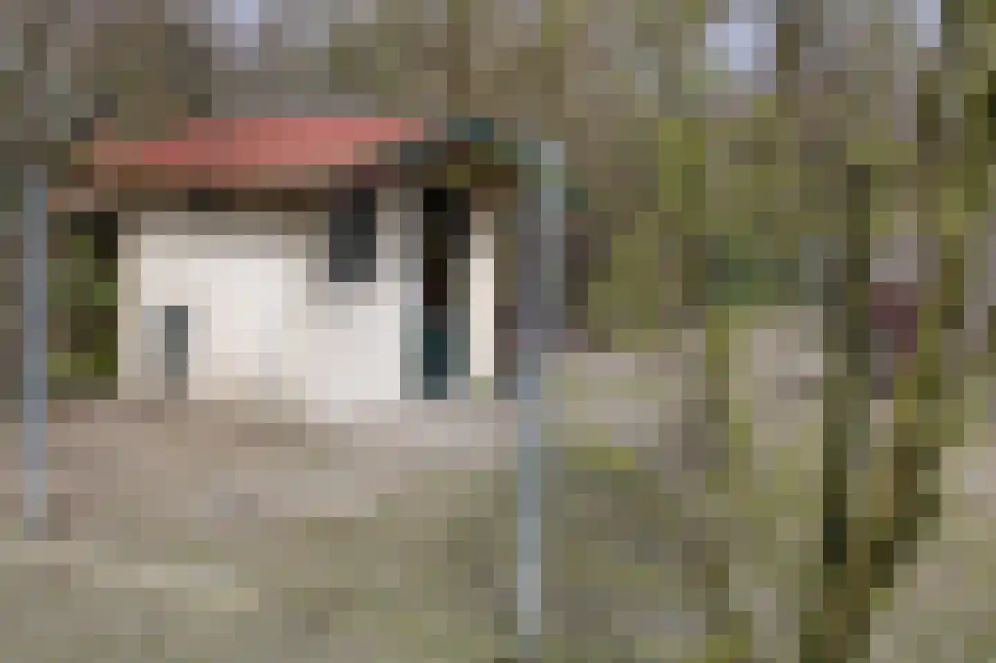 Zuideinde Oost 10 Kamperveen thumbnail 76