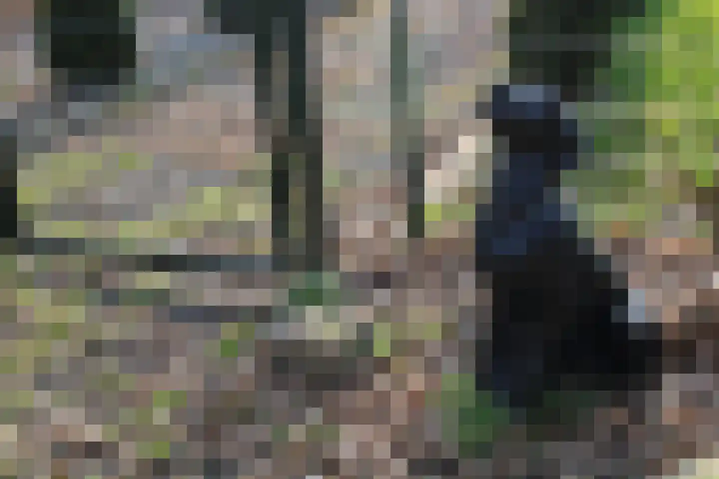 Zuideinde Oost 10 Kamperveen thumbnail 79
