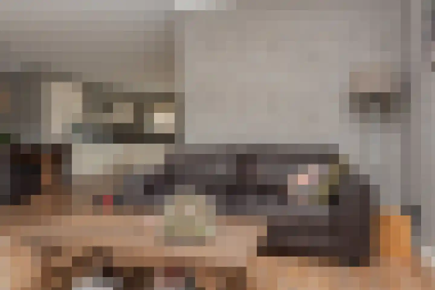 Zuideinderhof 12 Kamperveen thumbnail 16