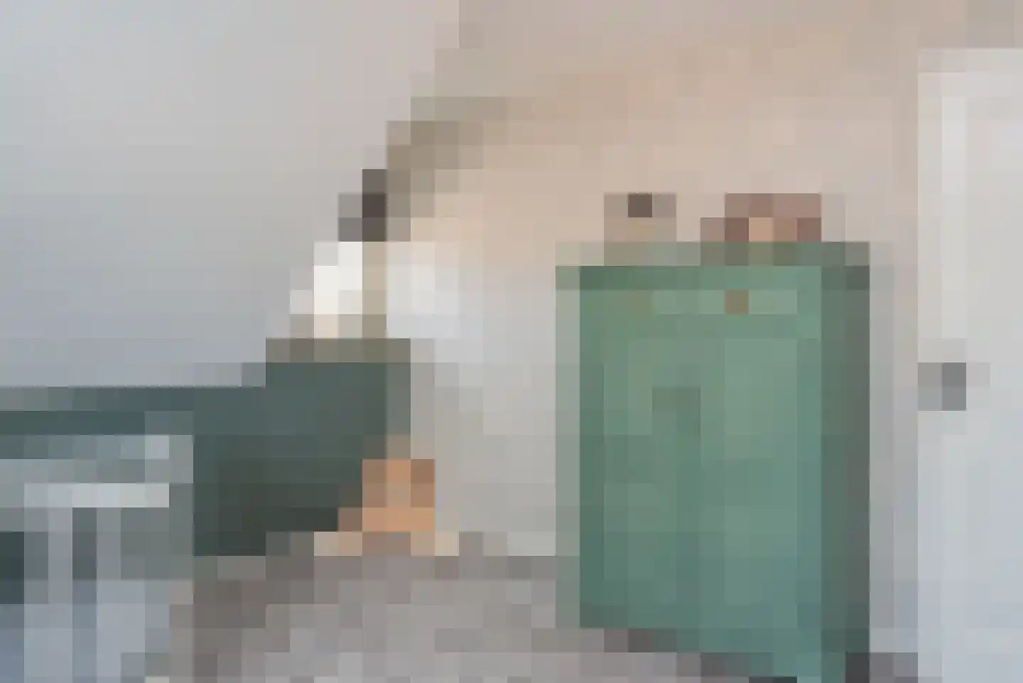 Zuideinderhof 12 Kamperveen thumbnail 35