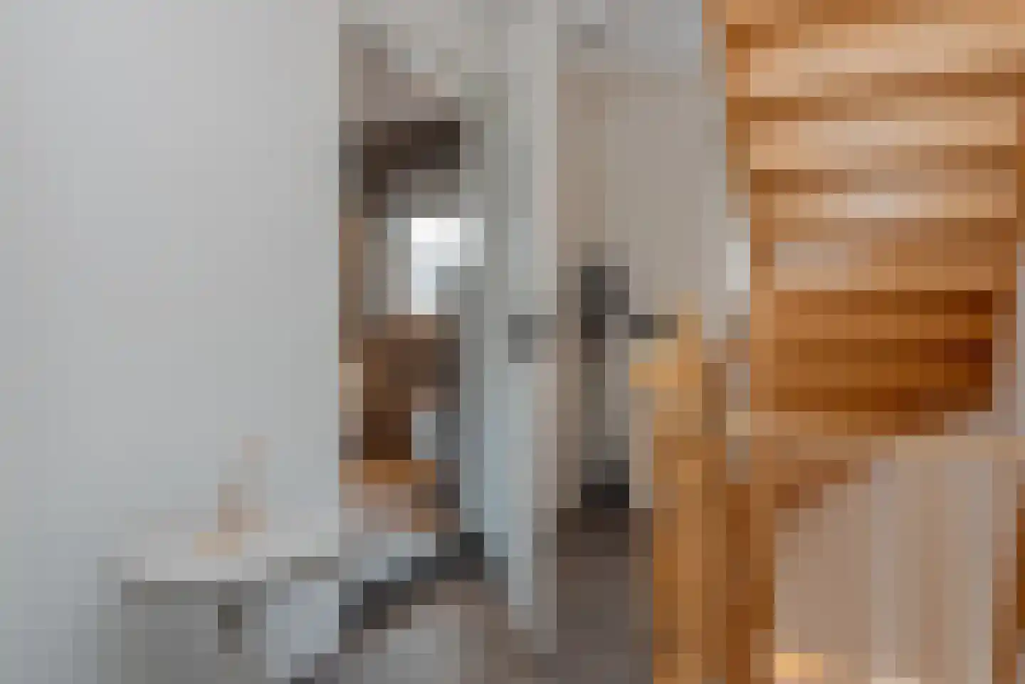 Zuideinderhof 12 Kamperveen thumbnail 38