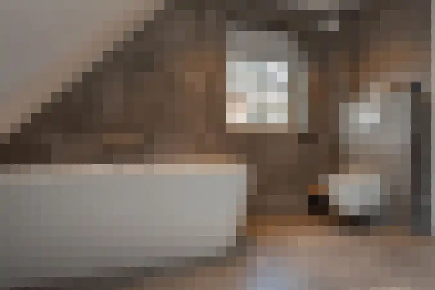 Zuideinderhof 12 Kamperveen thumbnail 39
